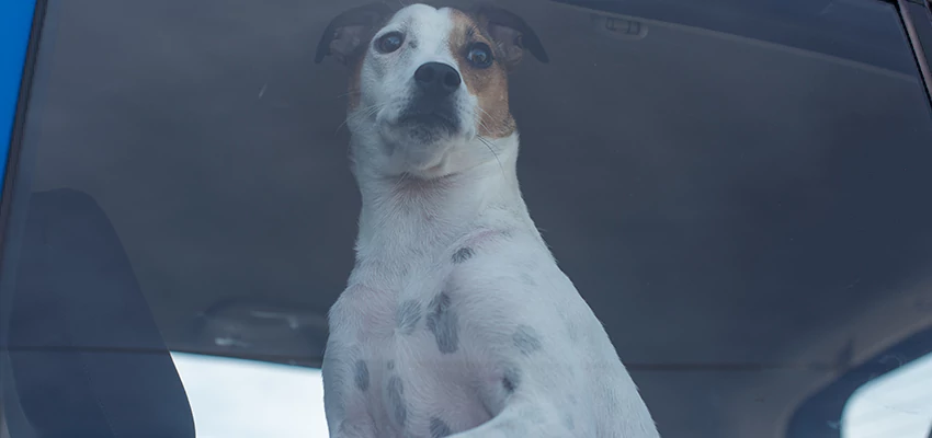 Car Lockout Solutions in Mountain View, California