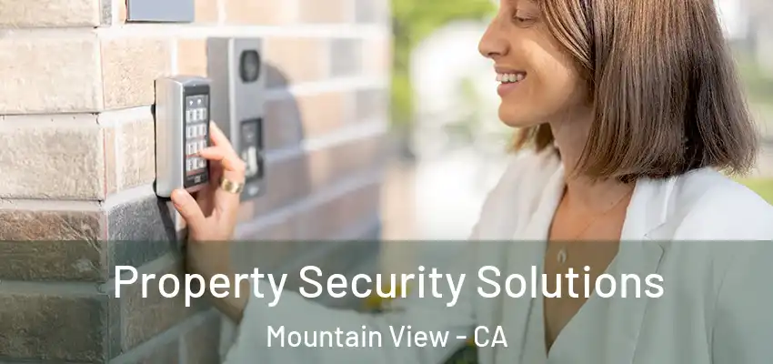 Property Security Solutions Mountain View - CA