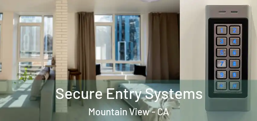  Secure Entry Systems Mountain View - CA